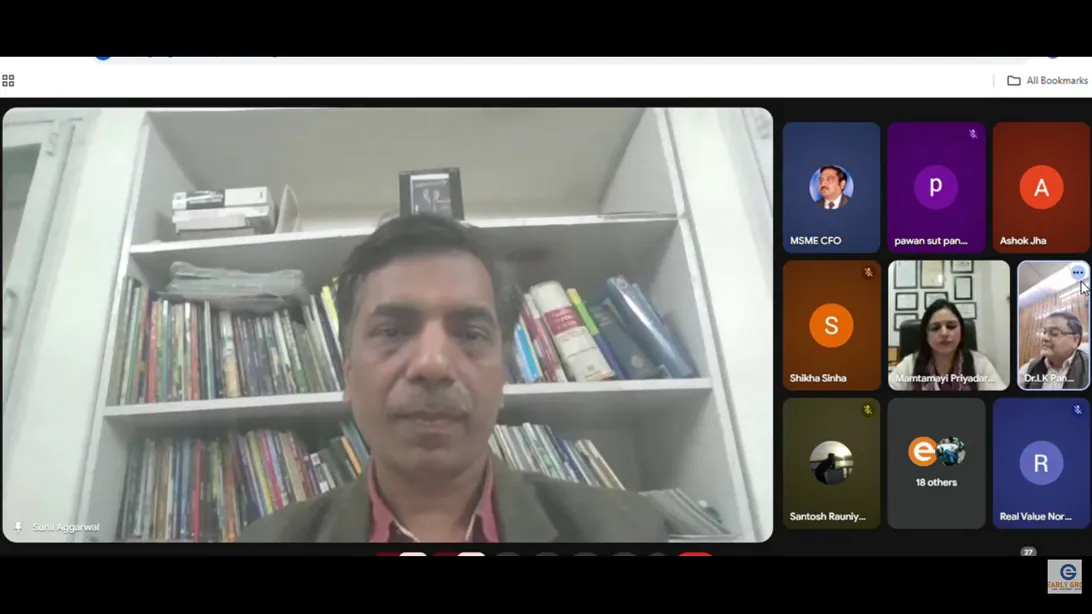 GRO-MSME and IIA webinar speakers discussing cash flow management for MSMEs